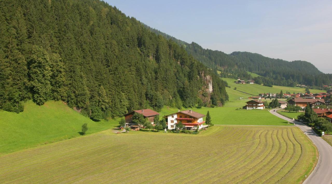 Lippnerhof Apartment Aschau Im Zillertal ภายนอก รูปภาพ