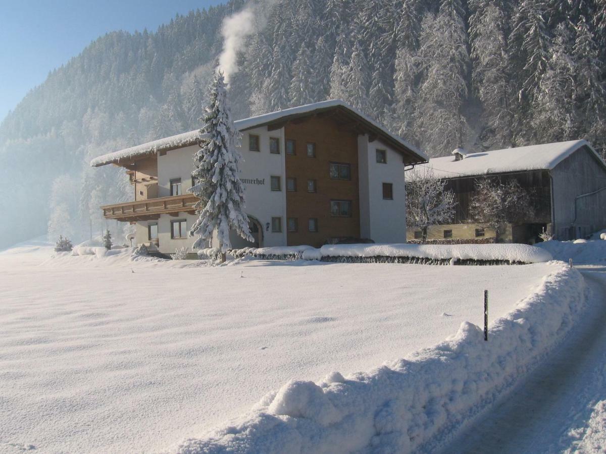 Lippnerhof Apartment Aschau Im Zillertal ภายนอก รูปภาพ